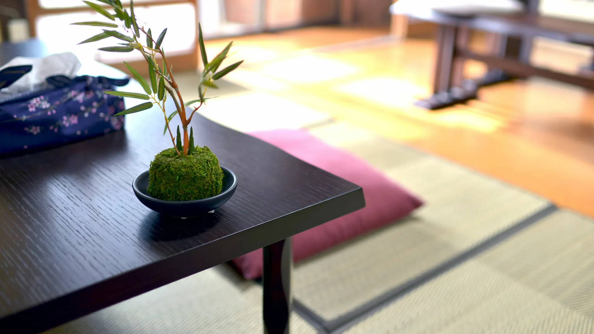 Guesthouse Kyoto Tachibanaya Imakumano Holiday home
